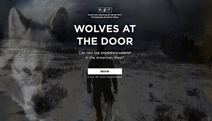 A screenshot of Wolves At The Door, a story about wolves in Montana